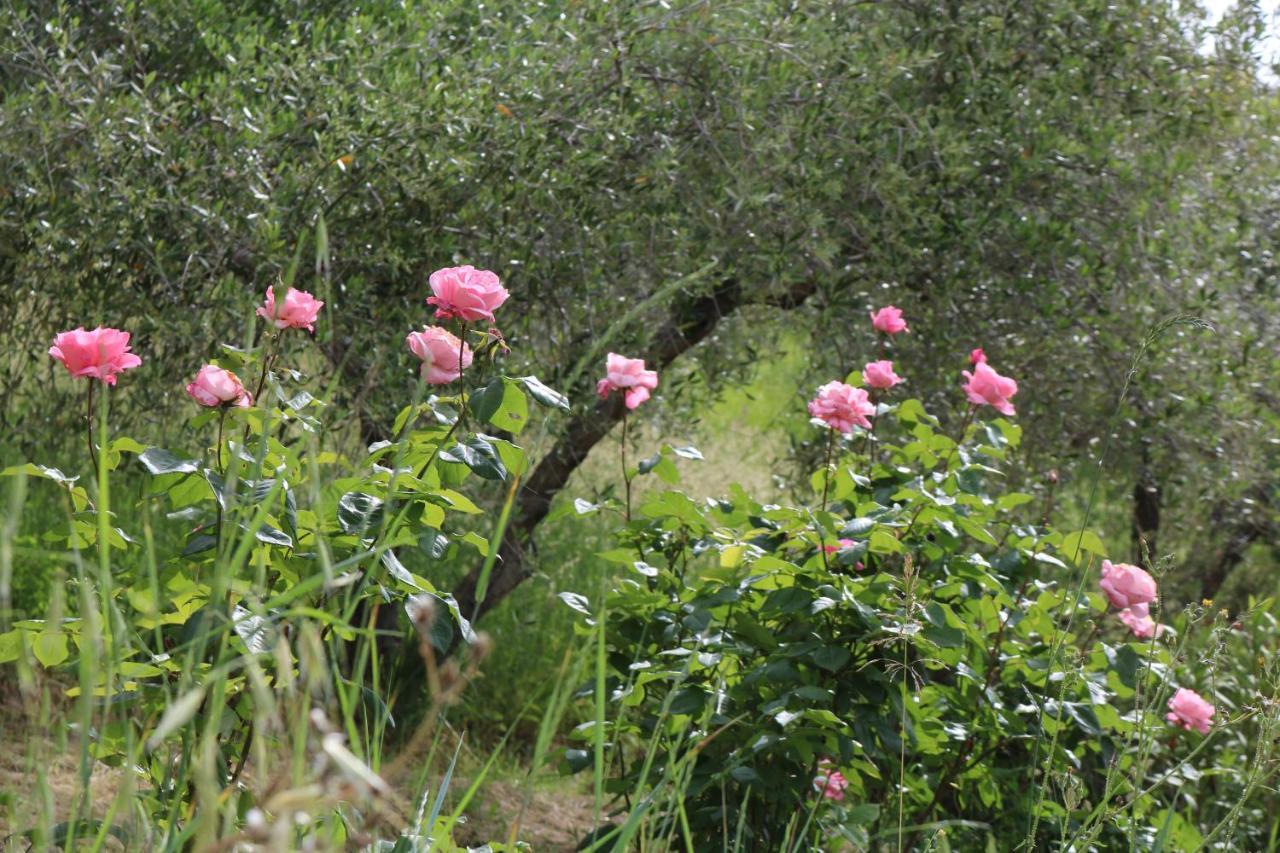 Bed & Breakfast Casa Lisetta Valtopina Eksteriør bilde