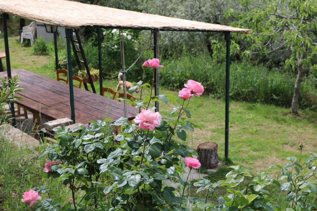 Bed & Breakfast Casa Lisetta Valtopina Eksteriør bilde